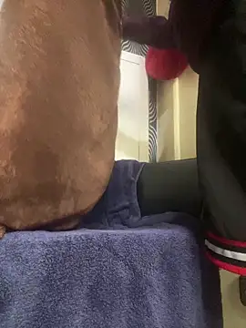 Yasar-Xxxl online show from 03-12-26, 03:29