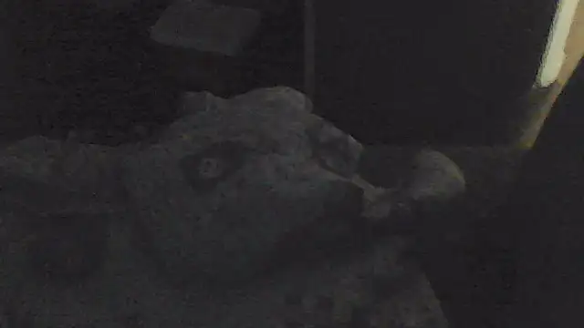 sarahkat86 online show from 11-13-25, 02:05