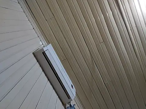 Snapshot of Gustavo198045 chatting on 02-13-26, 06:53 Gustavo198045 online show from 02-13-26, 06:53