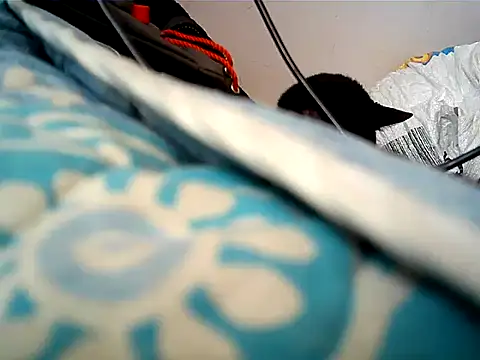 matrix70016 online show from 10-12-25, 03:22