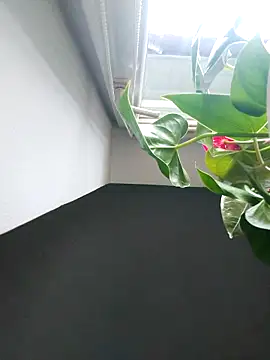 Czarnoksieznik online show from 11-02-25, 12:07