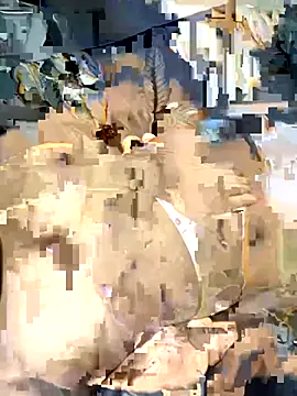 desitease online show from 09-15-25, 08:03