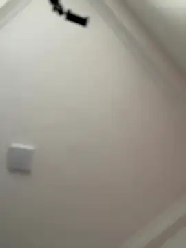 JuanitaMore01 online show from 10-16-25, 08:21