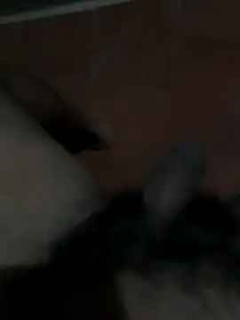 Snapshot of PhlegmySewerage chatting on 10-11-25, 01:16 PhlegmySewerage online show from 10-11-25, 01:16