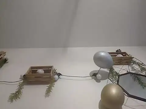 nousmeme0123 online show from 02-20-26, 02:52