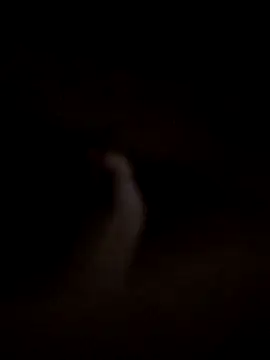 themchichnhau123 online show from 11-15-25, 06:11