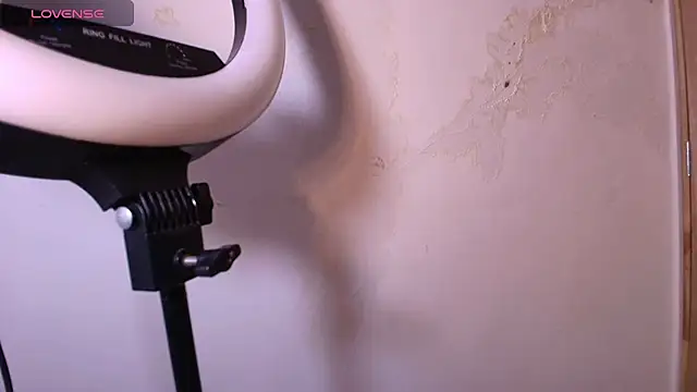 Terraelowen online show from 11-29-25, 11:35