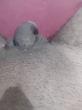 motoboytkbh online show from 04-09-26, 08:03