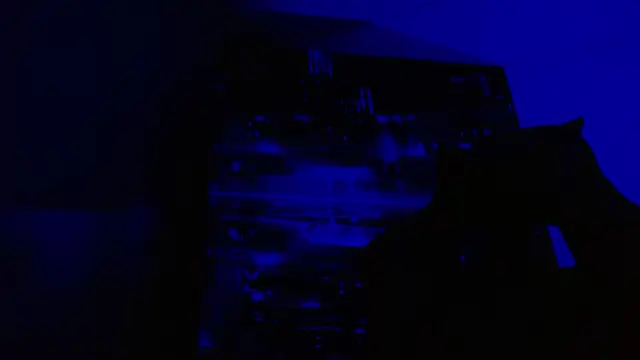 alexgiraldo   online show from 05-27-26, 06:49