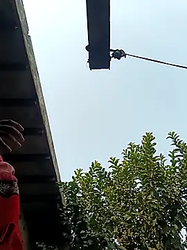 Snapshot of heena3355 chatting on 12-02-25, 03:56 heena3355 online show from 12-02-25, 03:56