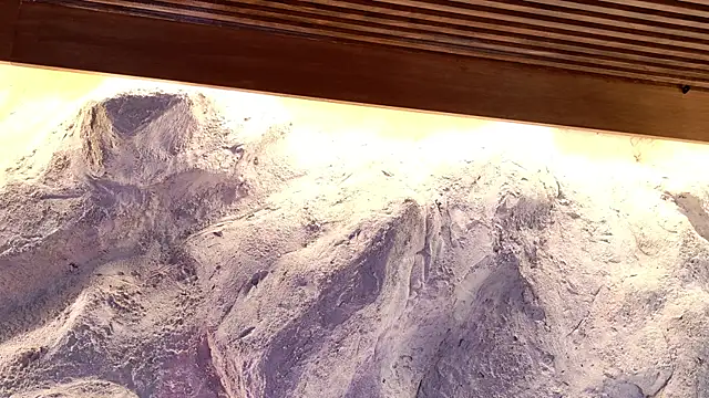 Snapshot of Katarina_Rostova chatting on 11-19-25, 05:02 Katarina Rostova online show from 11-19-25, 05:02