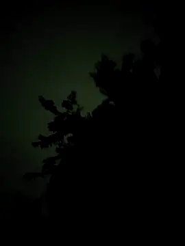 Snapshot of monty935 chatting on 09-15-25, 07:03 monty935 online show from 09-15-25, 07:03