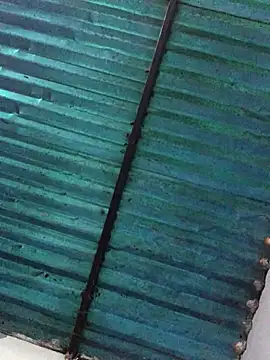 Snapshot of veronica_and_bryan chatting on 09-14-25, 03:49 veronica and bryan online show from 09-14-25, 03:49