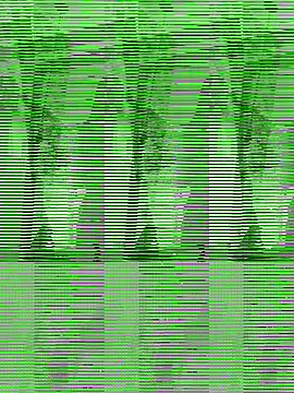 TAMIL ELAKKIYA online show from 11-15-25, 11:40