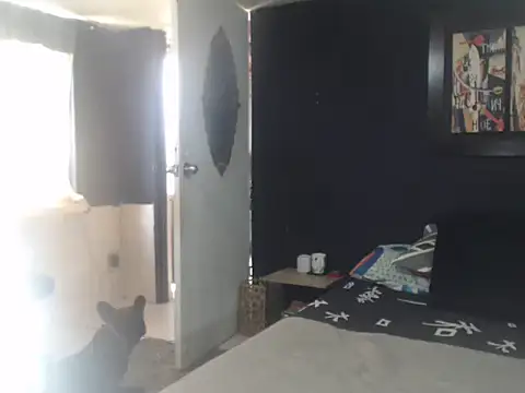 Snapshot of Dara-montenegro chatting on 10-16-25, 06:53 Dara-montenegro online show from 10-16-25, 06:53