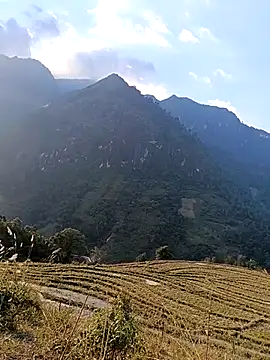 MuiNay online show from 11-24-25, 09:09