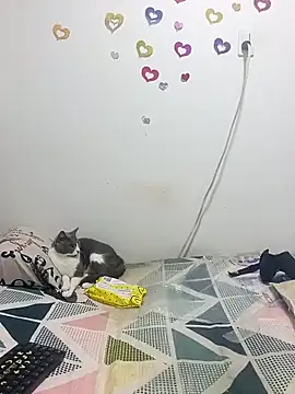 Snapshot of tany90 chatting on 10-31-25, 11:17 tany90 online show from 10-31-25, 11:17