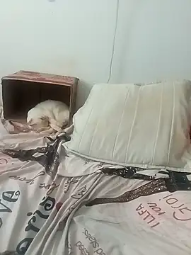 Snapshot of tany90 chatting on 11-19-25, 08:20 tany90 online show from 11-19-25, 08:20