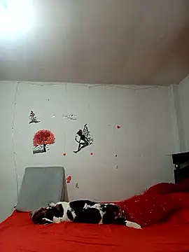 Lady 16 online show from 01-06-26, 01:53