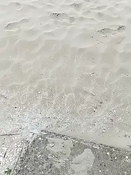 pegaso369 online show from 09-22-25, 01:13