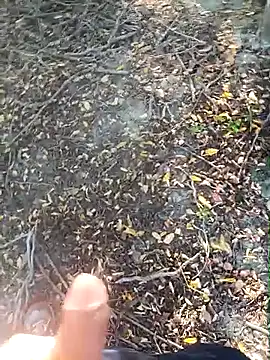 pegaso369 online show from 10-15-25, 02:28