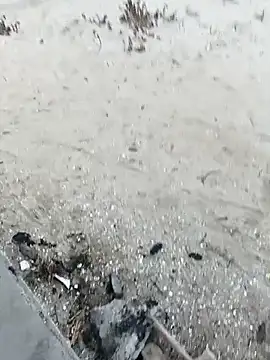 pegaso369 online show from 10-29-25, 03:36