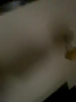 succy33 online show from 10-15-25, 07:41