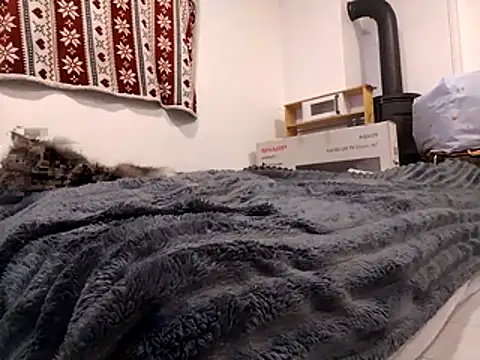 HoneySquirrel online show from 10-10-25, 05:23