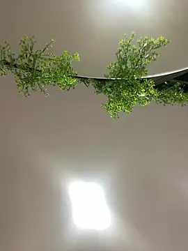 CharlotteBrownn  online show from 02-23-26, 03:04