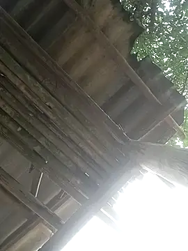 CoMay003 online show from 04-02-26, 05:27