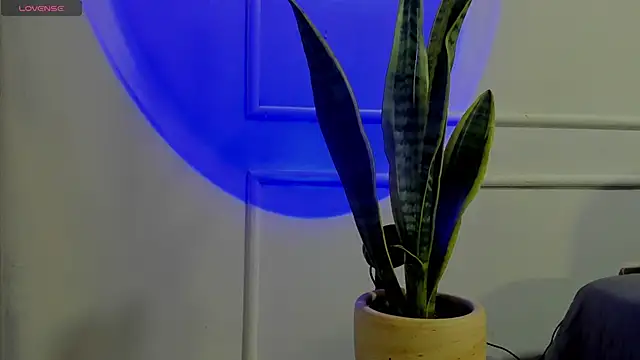 Ice Princess  online show from 10-02-25, 04:41