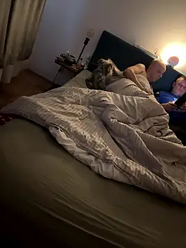 Jaropol online show from 01-12-26, 06:40