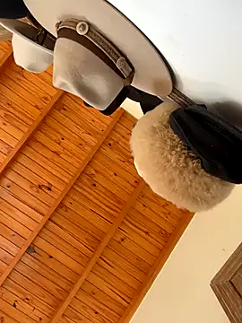 venuslibre online show from 10-13-25, 11:21