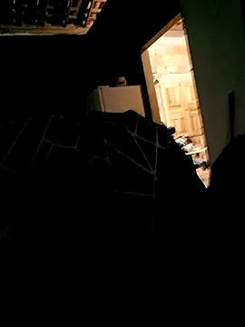 Snapshot of Rafael-01 chatting on 09-24-25, 04:27 Rafael-01 online show from 09-24-25, 04:27