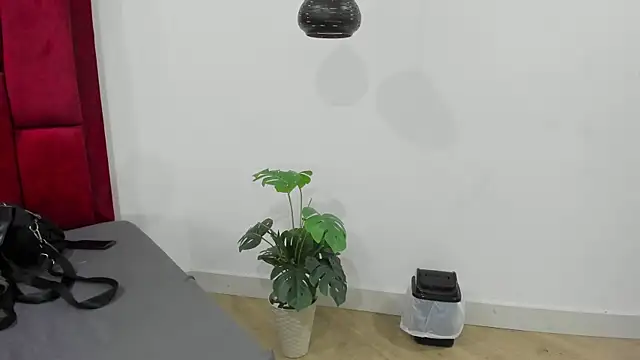 Snapshot of Mollyxketa1_ chatting on 10-02-25, 11:23 Mollyxketa1 online show from 10-02-25, 11:23