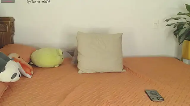 Raven06  online show from 11-11-25, 12:10