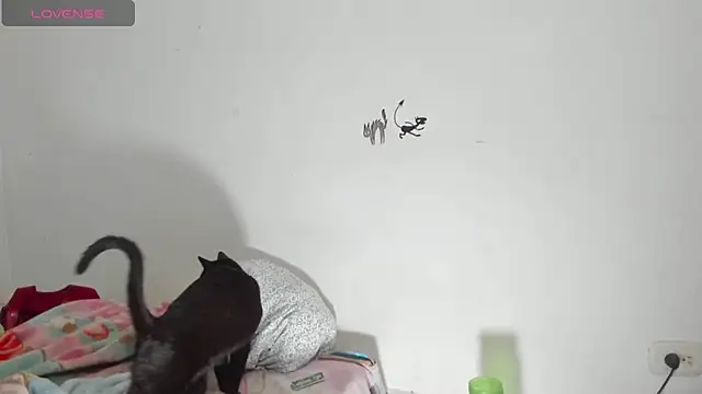 Snapshot of Raven_Rouge_ chatting on 09-26-25, 06:17 Raven Rouge online show from 09-26-25, 06:17