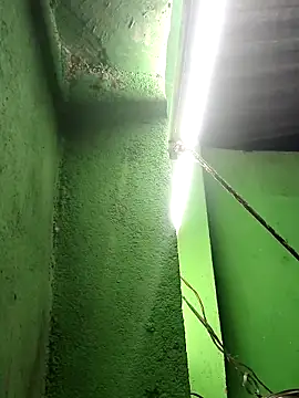 Hot-ilaiy online show from 09-12-25, 10:43