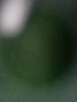 Punam ji online show from 10-28-25, 07:12