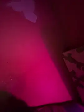 Snapshot of saumon3022 chatting on 09-16-25, 08:54 saumon3022 online show from 09-16-25, 08:54