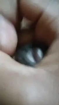 Vizgeboys online show from 12-02-25, 06:03