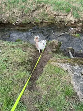 OliviaaFischer online show from 03-12-26, 01:39