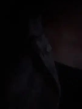 LilybethGray online show from 11-19-25, 10:43