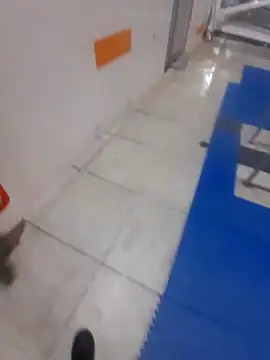 Velvet 24 online show from 10-25-25, 11:43