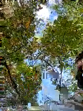 Snapshot of Mexxwell69 chatting on 09-14-25, 03:11 Mexxwell69 online show from 09-14-25, 03:11