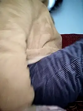 July-Asian online show from 01-06-26, 10:56