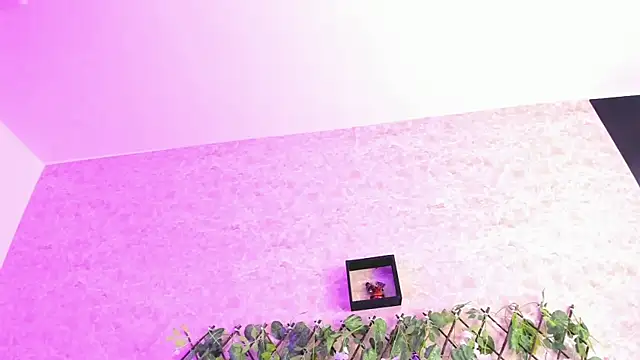 ImEmily444 online show from 10-04-25, 07:50