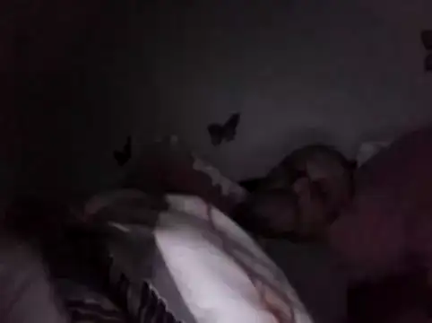 Hisnimin online show from 02-18-26, 03:57