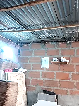 Snapshot of hoteder chatting on 12-17-25, 01:28 hoteder online show from 12-17-25, 01:28