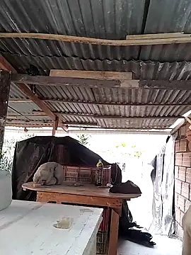 hoteder online show from 04-15-26, 12:12